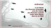 A.Schnitt, Aufbrechen