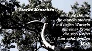 A. Schnitt, Starke Menschen