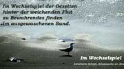 A.Schnitt, Im Wechselspiel